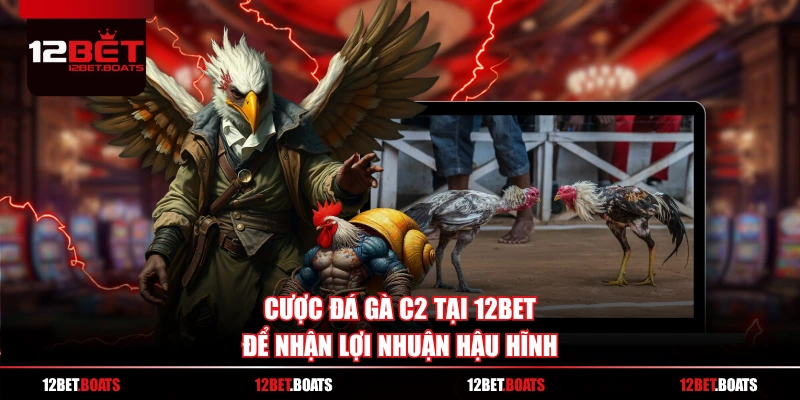 Cược đá gà C2 tại 12BET để nhận lợi nhuận hậu hĩnh