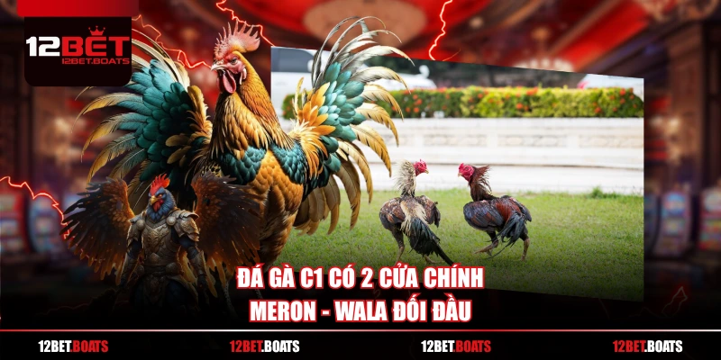 Đá gà C1 có 2 cửa chính Meron - Wala đối đầu