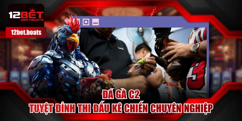 Đá Gà C2