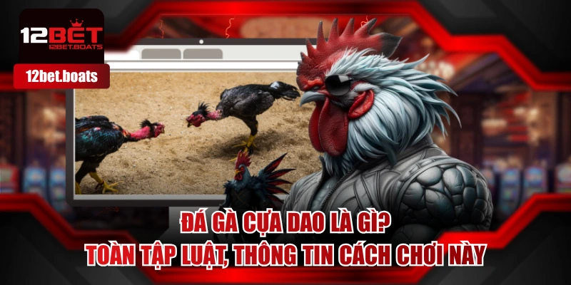 Đá Gà Cựa Dao