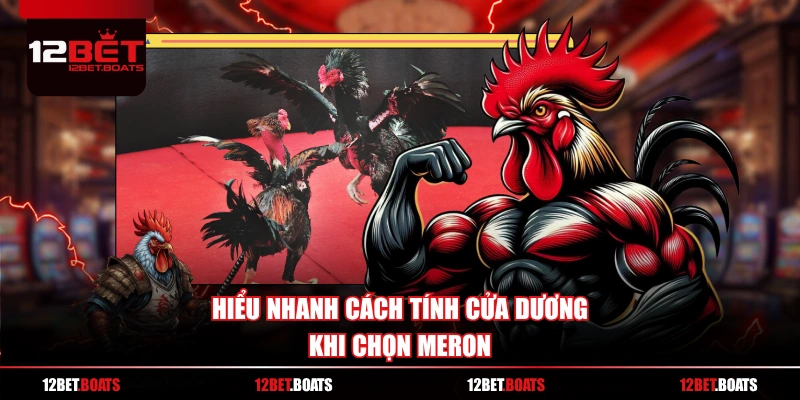 Hiểu nhanh cách tính cửa dương khi chọn Meron