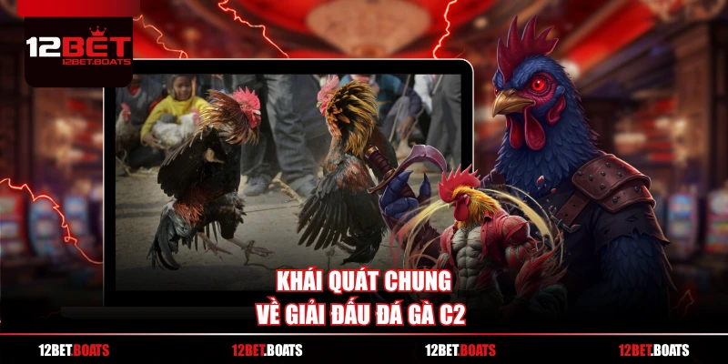 Khái quát chung về giải đấu đá gà C2 