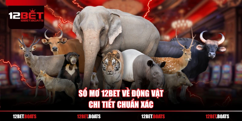 Sổ mơ 12BET về động vật chi tiết chuẩn xác