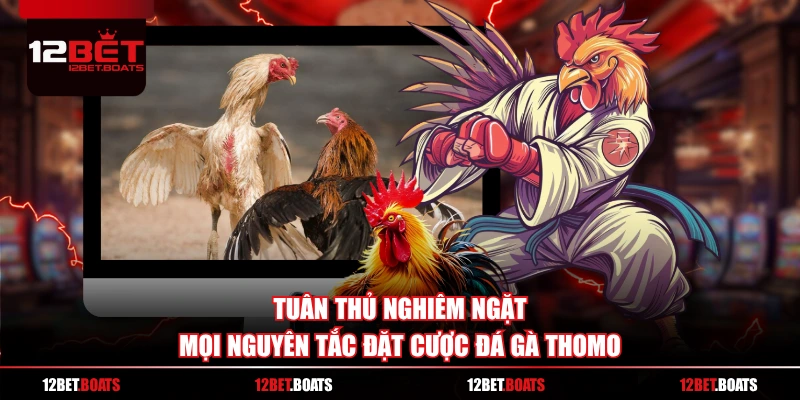 Tuân thủ nghiêm ngặt mọi nguyên tắc đặt cược đá gà Thomo
