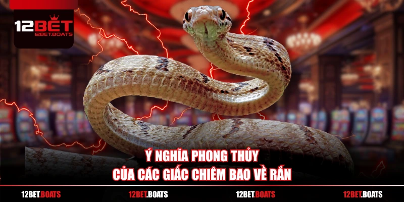 Ý nghĩa phong thủy của các giấc chiêm bao về rắn